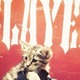 Illustration for article titled Slayer tour manager rescues homeless kitten